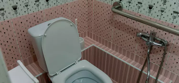 Meeting Diverse Needs With Accessible Restroom Solutions in Reedley, CA